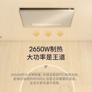 KOHLER 科勒 浴霸卫生间吸顶嵌入式多功能遥控取暖换气照明一体77317T-MZ