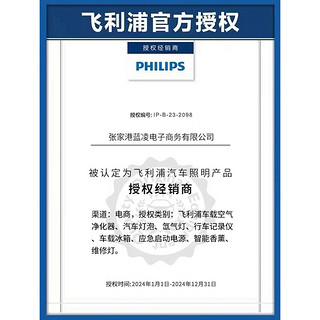 PHILIPS 飞利浦 车载空气净化器 原厂滤网 抗过敏原强效过滤网AFP160