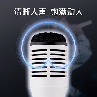 得胜 （TAKSTAR）HM-300W 无线手持麦克风（单手持）无线手持麦克风教师小蜜蜂扩音器音响接收器话筒