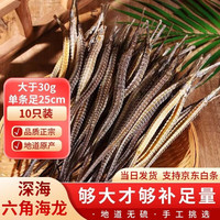 海龙干货 深海整只六角大海龙药材泡酒料煲汤料男性滋补品组合泡酒料【12期免息】 10只(大于30g单条足22cm)