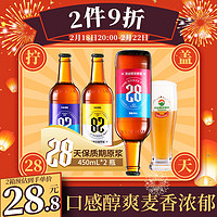 TAISHAN 泰山啤酒 9度28天原浆啤酒450mL*2瓶整箱装 年货送礼