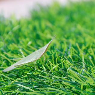 鑫宝麟仿真草坪人造草皮塑料人工假草坪3.0厘米M型特密春草 宽度3米长几米拍几件