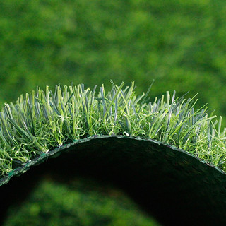 鑫宝麟仿真草坪人造草皮塑料人工假草坪3.0厘米M型特密春草 宽度3米长几米拍几件