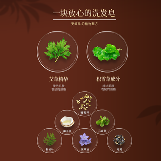  CLSINC 控油防脱 洗发皂