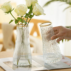 LISM 浮雕玻璃花瓶透明水养富贵竹插花摆件 2个
