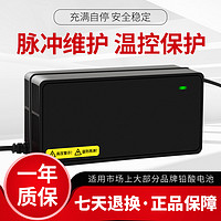 others 其他 电动车电瓶充电器48V12AH20AH60V72V台铃爱玛雅迪电车三轮车通用