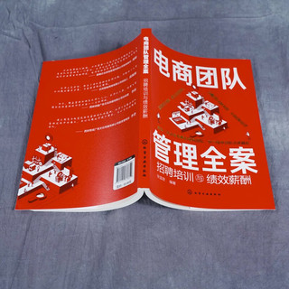 电商团队管理全案：招聘培训与绩效薪酬