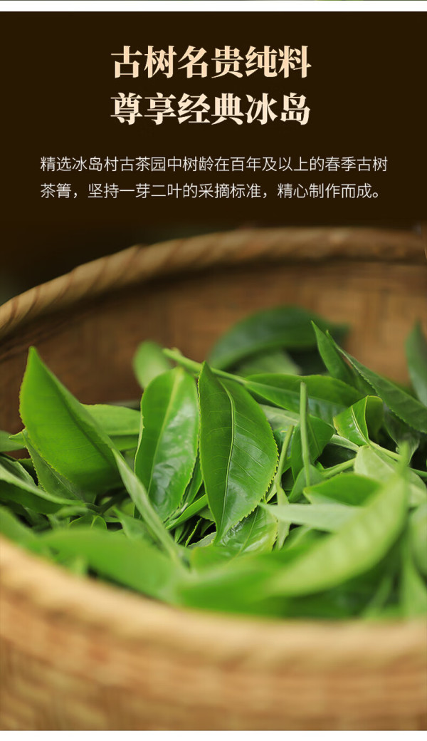 冰岛老寨古树纯料 普洱茶生茶 迷你小沱茶