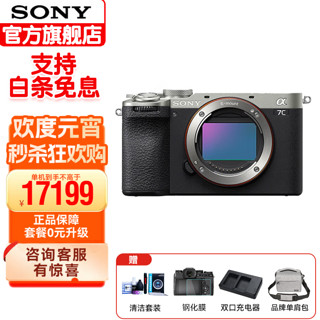 SONY 索尼 单电/微单