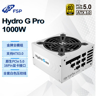 FSP 全汉 Hydro G Pro1000 金牌（90%）全模组ATX电源 1000W 白色