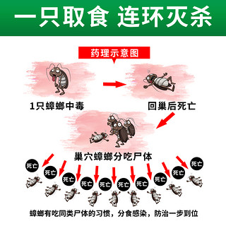 雳达 杀蟑螂药家用无毒大小通杀强力厨房灭蟑螂特效一窝端粉状 10包