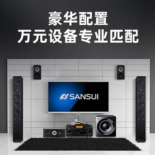 山水（SANSUI）KM9 无线麦克风 专业U段一拖二无线话筒KTV手持麦克风舞台演出k歌