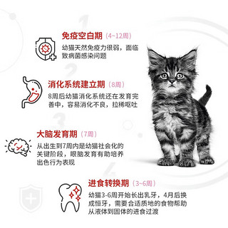 皇家皇家猫粮幼猫K36/BK34奶糕孕猫母猫离乳期断奶营养猫粮 BK34幼猫-2kg