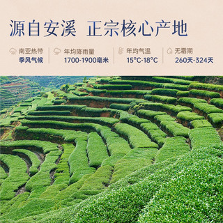 凤山2023新秋茶安溪铁观音乌龙茶浓香型铁盒装126g单独包装茶叶 罐装126g*1罐