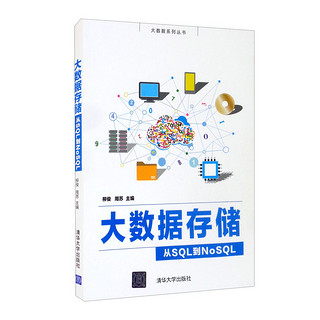 大数据存储——从SQL到NoSQL（大数据系列丛书）