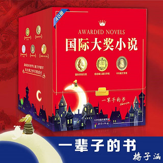国际大小说 礼盒装40册 课外阅读 暑期阅读 课外书 国际大小说周年礼盒40册