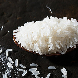 吉内得 大米2023新米富硒大米5斤长粒米籼米真空包装老种子鲜米