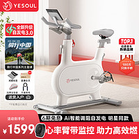 YESOUL 野小兽 自发电动感单车家用智能调阻室内自行车静音磁控运动锻炼健身器材 M2M自发电旗舰心率进阶版