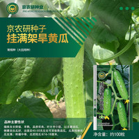京农研黄瓜种子水果黄瓜旱黄瓜四季播长黄瓜露地大棚农科院易种蔬菜籽孑 京农研挂满架旱黄瓜 约100粒