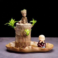 神拼 巴西木幸运木开花盆栽水养格鲁特小树人水培花卉室内四季常青绿植