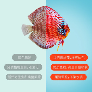 仟湖七彩鱼饲料迷你粒慢沉性鱼食小型鱼苗成长增艳鱼食鱼粮增艳促成长 七彩饲料大粒40克