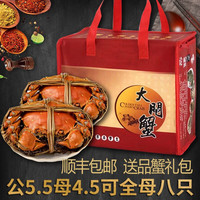 【活蟹】 阳澄易顺大闸蟹 鲜活特大螃蟹 海鲜水产生鲜礼盒 公5.5-5.8两母4.5-4.8两8只4对