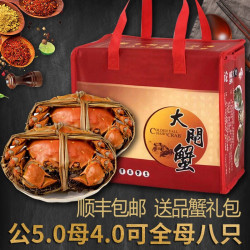 阳澄易顺 大闸蟹 鲜活特大螃蟹 海鲜水产生鲜礼盒 公5.0-5.3两母4.0-4.3两8只4对