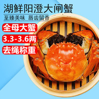 湖鲜阳澄 大闸蟹 去绳足重 全母3.3-3.6两 8只 鲜活螃蟹礼盒装