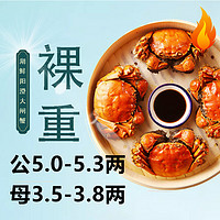 HUXIANYANGCHENG 湖鲜阳澄 大闸蟹 公5.0-5.3两母3.5-3.8两4对8只 鲜活特大螃蟹礼盒装年货