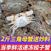 鮨京【渔港直发】梭子蟹鲜活冷冻螃蟹肉母蟹飞蟹 海鲜水产 生鲜 【三角母2斤】梭子蟹(约6~10只)