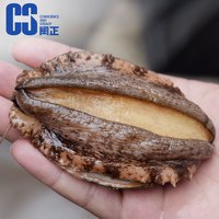 闽正大鲍鱼鲜活煮冻鲍鱼贝类海鲜特大规格8头年货礼盒装超大生鲜 6头超大鲍鱼净重420g 1包