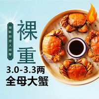 HUXIANYANGCHENG 湖鲜阳澄 大闸蟹 去绳足重 全母3.0-3.3两 10只 鲜活螃蟹生鲜年货海鲜礼盒