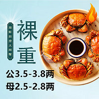 【活蟹】湖鲜阳澄 大闸蟹 去绳足重 公3.5-3.8两母2.5-2.8两3对6只 海鲜过年年货节