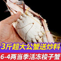鮨京【渔港直发】梭子蟹鲜活冷冻螃蟹肉母蟹飞蟹 海鲜水产 生鲜 【大公3斤】梭子蟹(约4~8只)