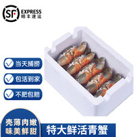 【活鲜】沢素湾 青蟹 鲜活大青蟹 特大膏蟹红鲟 海鲜礼盒礼包 大公肉蟹 2斤（3-4只） 包活到家