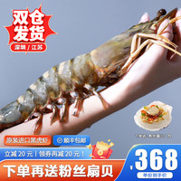 海泽鲜 黑虎虾 冰鲜大虾 鲜活生冻特大黑虎虾 巨型老虎虾 海虾类礼盒 超大巨型2号 2只