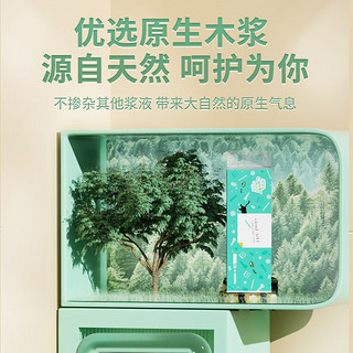 聪妈卫生纸卷纸家用实惠装整箱纸巾无芯卷筒纸卫生间厕所厕纸手纸 36卷【整箱装】