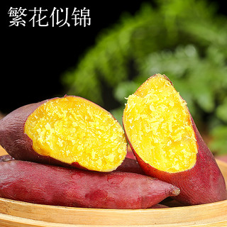 天目山小香薯番薯 板栗味2.6斤