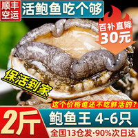 首鲜道包活 福建连江鲜活鲍鱼活鲜 生鲜 贝类超大2斤 海鲜其他水产鲜嫩 2斤 4-6只(鲍鱼王)大口吃肉