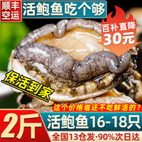 首鲜道包活 福建连江鲜活鲍鱼活鲜 生鲜 贝类超大2斤 海鲜其他水产鲜嫩 2斤16-18只包活(超大)238