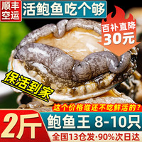 首鲜道包活 福建连江鲜活鲍鱼活鲜 生鲜 贝类超大2斤 海鲜其他水产鲜嫩 2斤 8-10只(鲍鱼王)大口吃肉