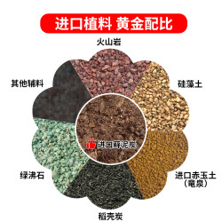 MESHPOT 美莳多肉土专用颗粒土植物营养土赤玉土培养土进口泥炭土铺面石头