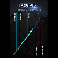 ALPINT MOUNTAIN 专业户外登山杖超轻徒步伸缩女款行山手杖背包挂男爬山杖拐杖防身