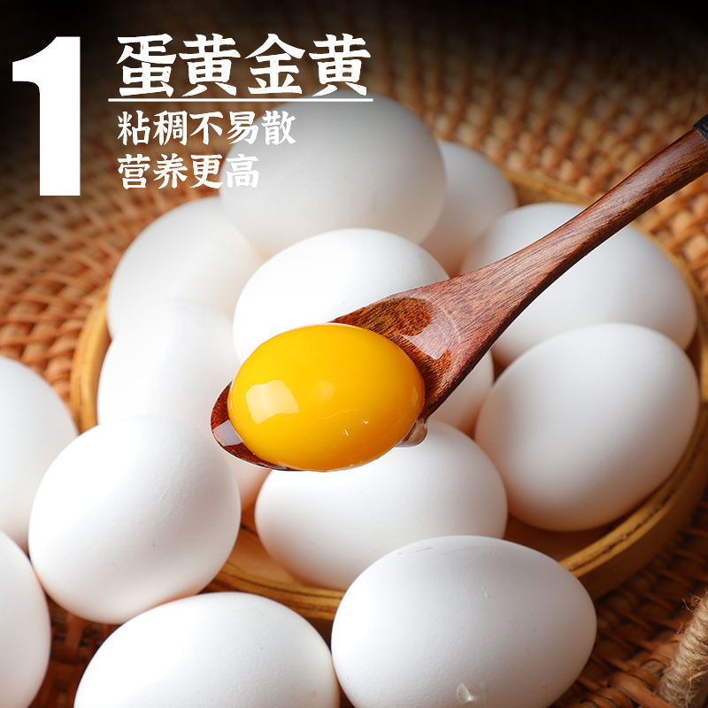 迦百狮 初生土鸡蛋10枚装