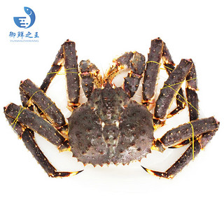【活鲜】御鲜之王 鲜活帝王蟹2300-2450g/只 螃蟹生鲜 海鲜水产长脚蟹