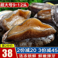 鲜拔头筹 青岛鲜活大鲍鱼 大号鲍鱼 鲜活冷冻生鲜贝类 火锅烧烤海鲜水产 活冻大鲍鱼 500g 共10-12头