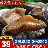 鲜拔头筹 青岛鲜活大鲍鱼 大号鲍鱼 鲜活冷冻生鲜贝类 火锅烧烤海鲜水产 活冻特大鲍鱼 500g 共8-11头