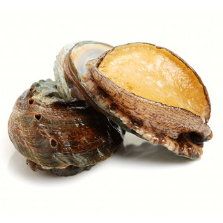 御鲜之王 鲜活鲍鱼500g 8-10只 海鲜水产贝类 烧烤食材
