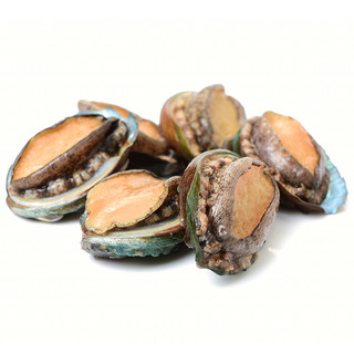 御鲜之王 鲜活鲍鱼500g 8-10只 海鲜水产贝类 烧烤食材