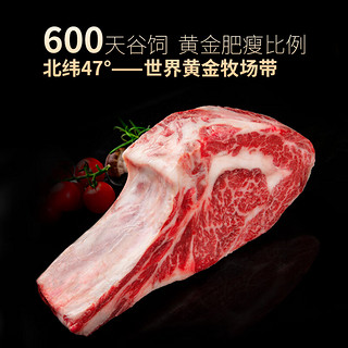 龍江和牛国产 原切A3厚切战斧雪花牛排 600g 谷饲600+天冷冻 牛肉生鲜